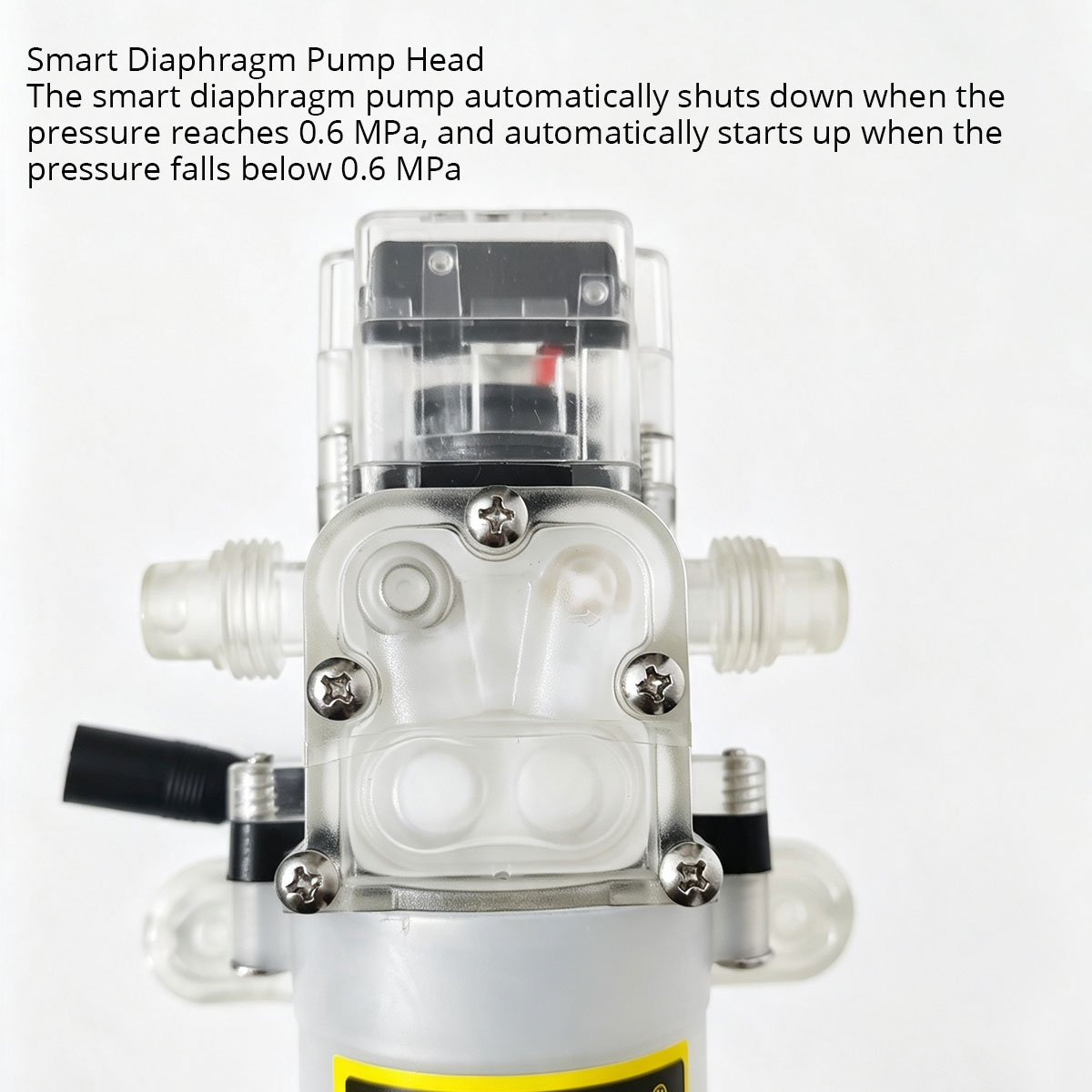 12V 80W Food Grade Diaphragm P - Mini Peristaltic Pump 12V ulasan dan harga